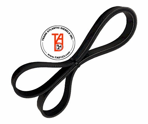 Cummins 4B3.3-M Serpentine Belt